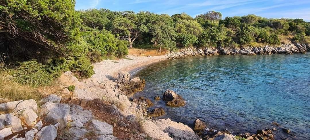 شقة Kuca Za Odmor Denona Borovići المظهر الخارجي الصورة